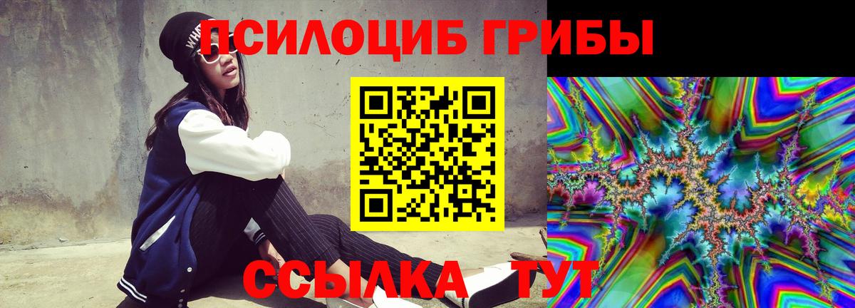 Лангепас  Псилоцибиновые грибы Psilocybine cubensis  Вход с VPN 