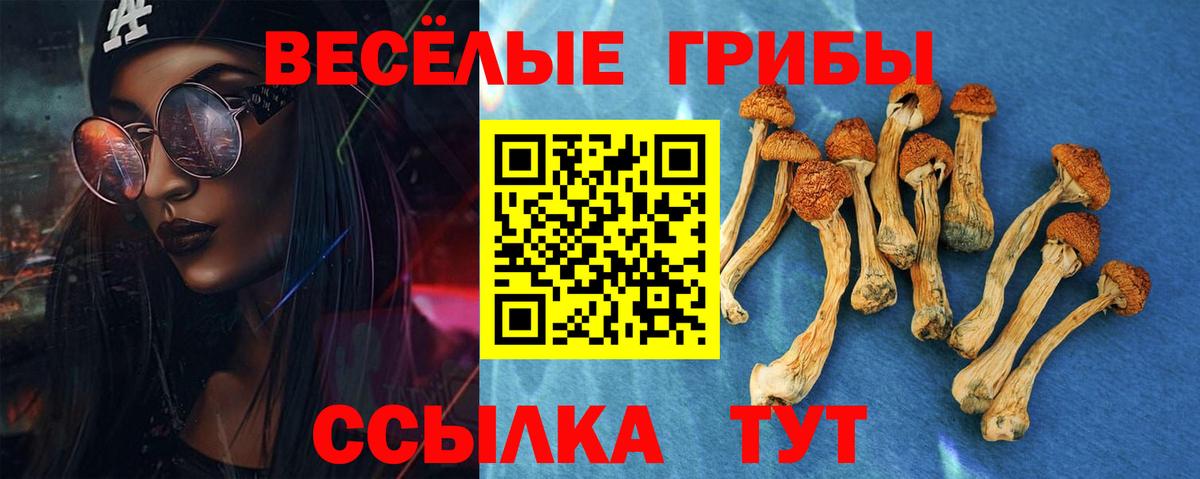 Псилоцибиновые грибы Psilocybe Лангепас